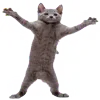 🫂