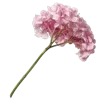 💐