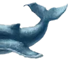 🐋