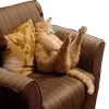 🛋