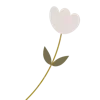 🌷