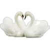 🦢