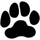 🐾