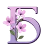 🌸