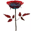 🌹