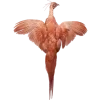 🐦