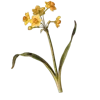 💐