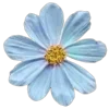 💐