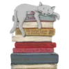 📖