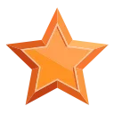 🌟