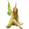 🧚