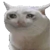 😢