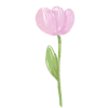 🌷