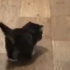 👋