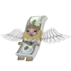 💸