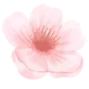 🌸