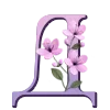 🌸