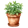 🪴