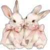🐰