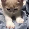 🥰