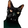 🧛