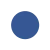 🔵