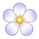 🌸