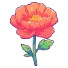 💐