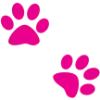 🐾