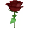 🌹