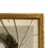 🖼️