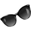 👓