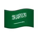 🇸🇦