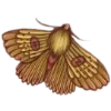 🦋