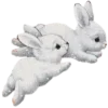 🐰