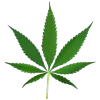 🍁