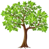 🌳