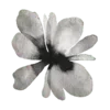 🌸
