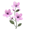 🌸