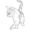 🐈