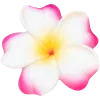 🌸