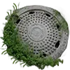 🌿