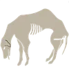 🐕