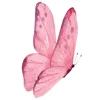 🦋