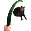 🥒