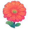 🌸
