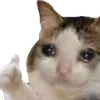 🥺