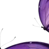 🖱️