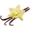 🏵