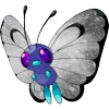 🦋